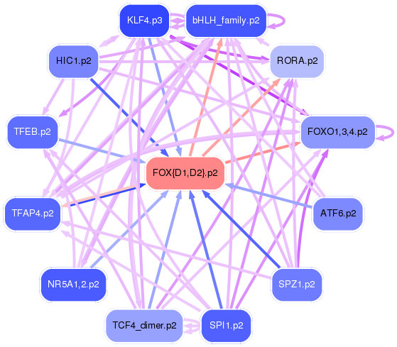 PNG image of the network